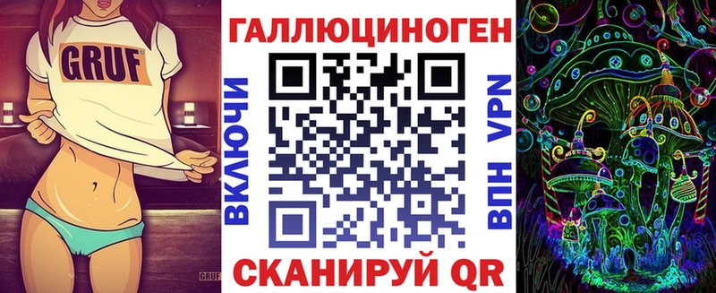 купить закладку  Опочка  Псилоцибиновые грибы мицелий 